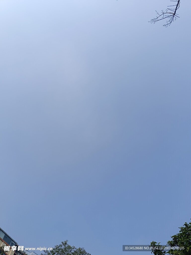 晴朗蓝天与树梢景象