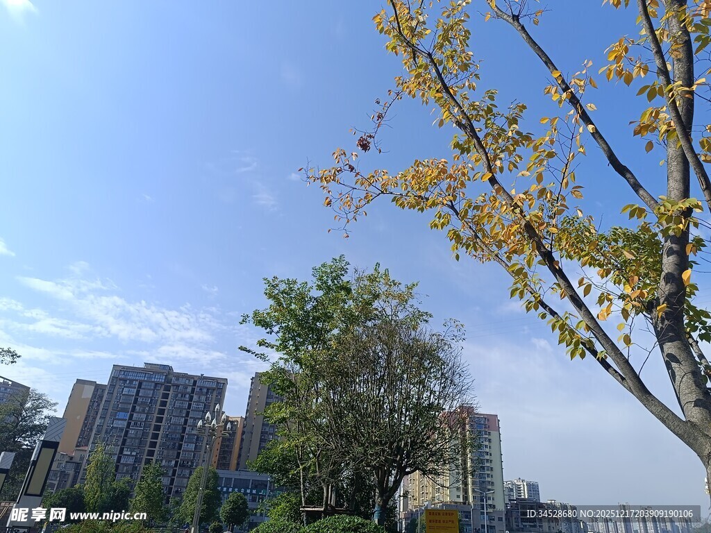 城市蓝天绿树风景图