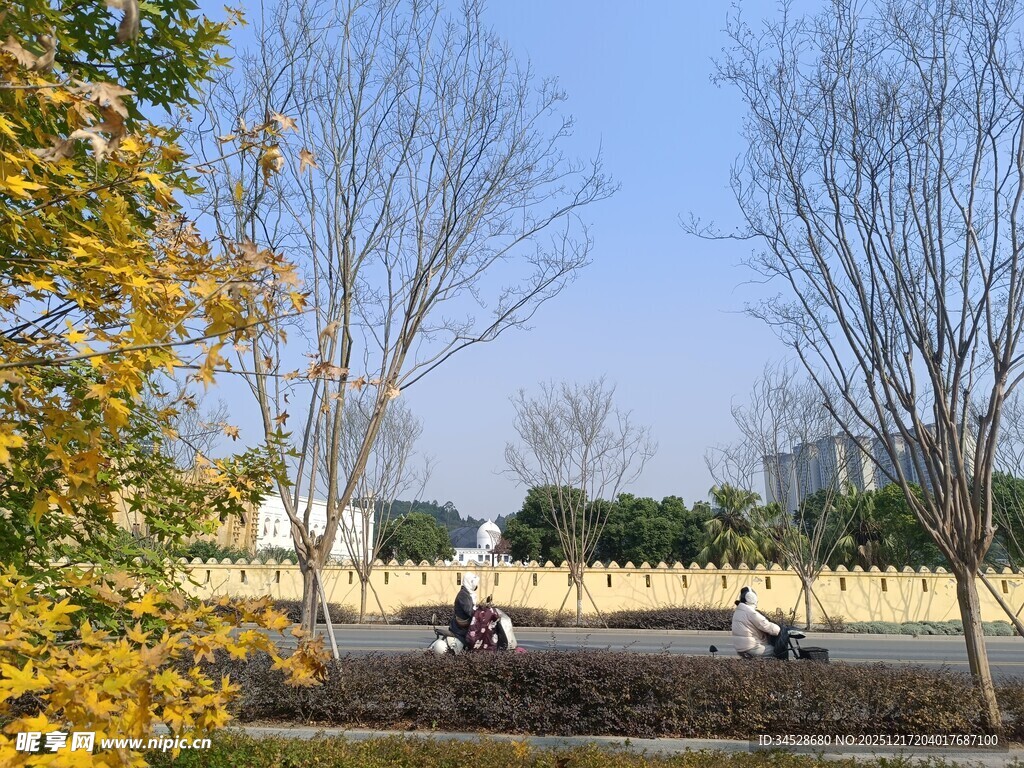 秋日户外骑行风景