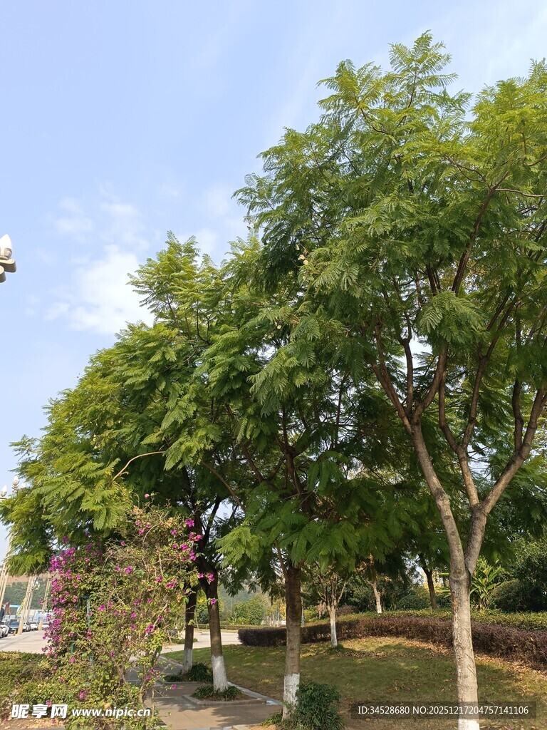 公园绿树成荫的休闲景致