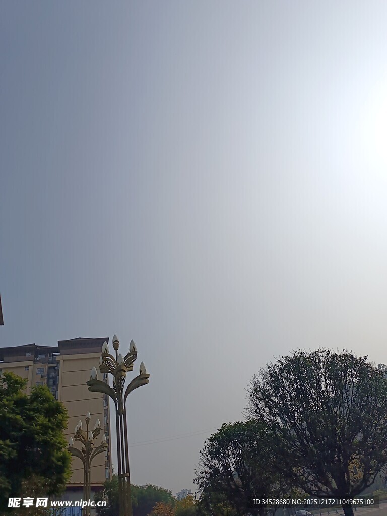 阳光下的建筑与树木