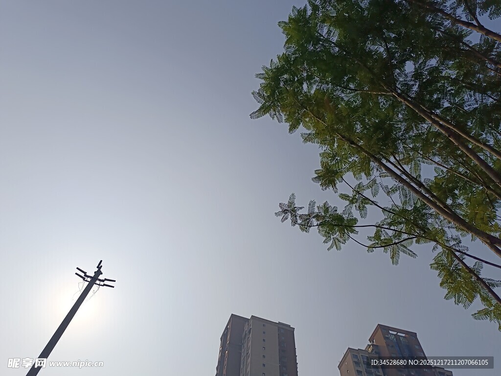 城市天际线与绿植相映