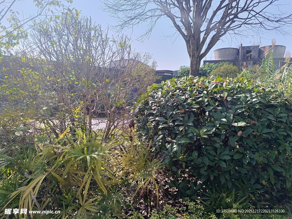户外绿植景观一角