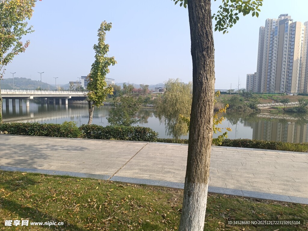 湖畔城市风光美景