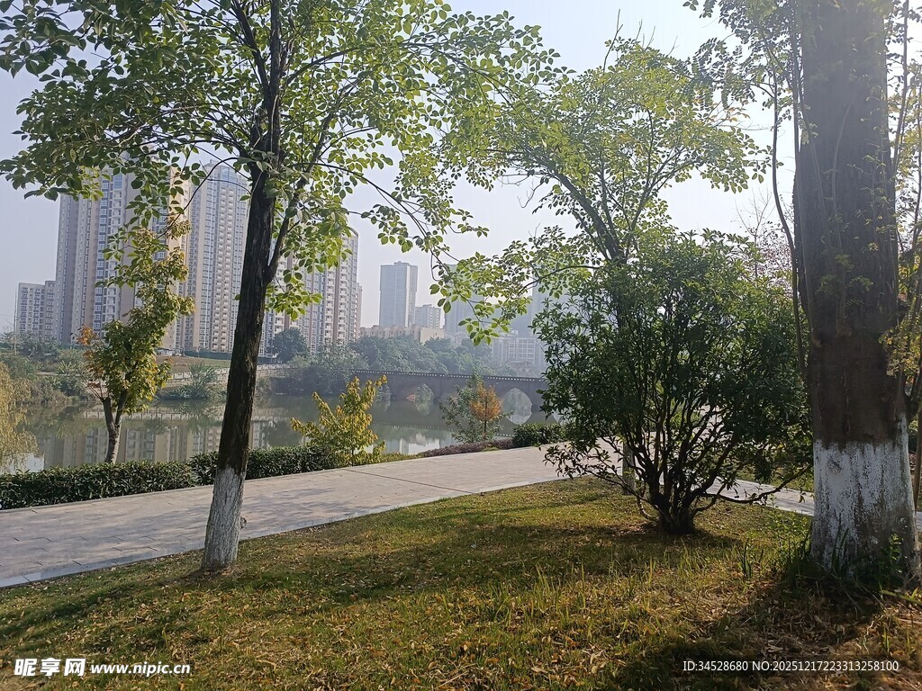 城市公园绿树成荫景致