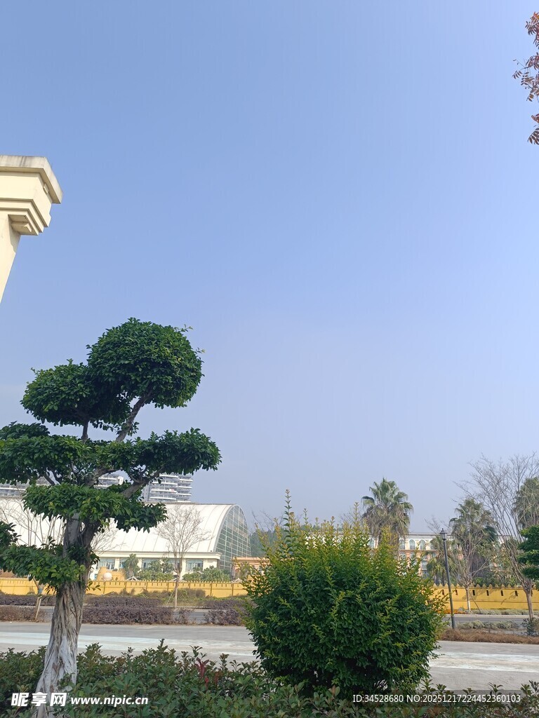 庭院造型绿植景观