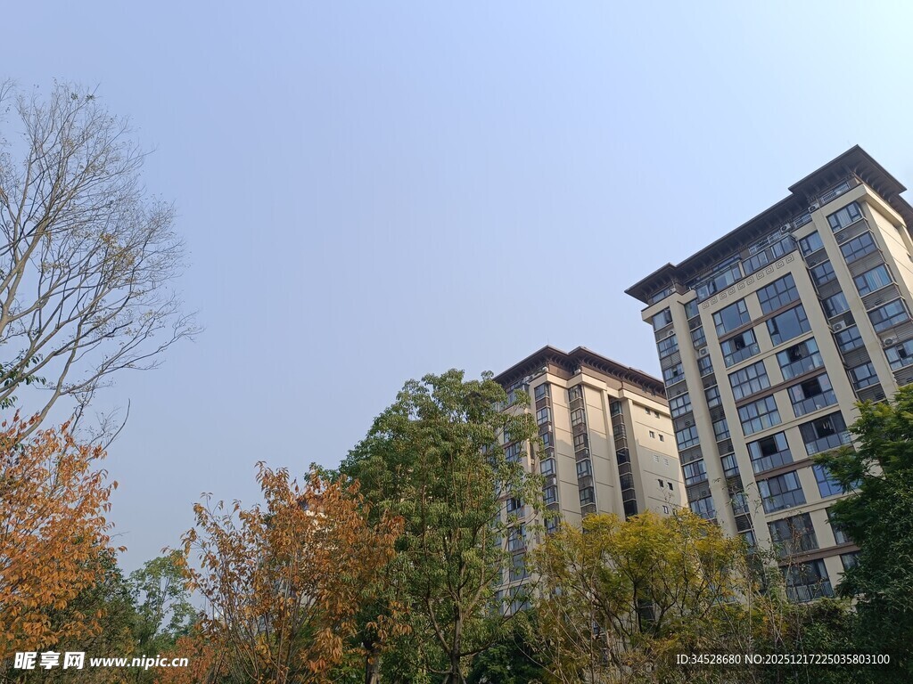 秋日下的高楼与斑斓树木