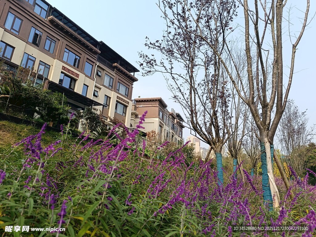 山坡繁花旁的欧式建筑