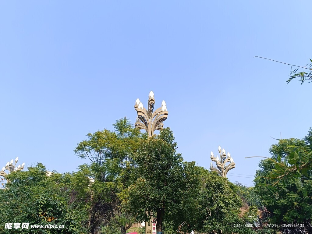 枝头白花绽于绿树间