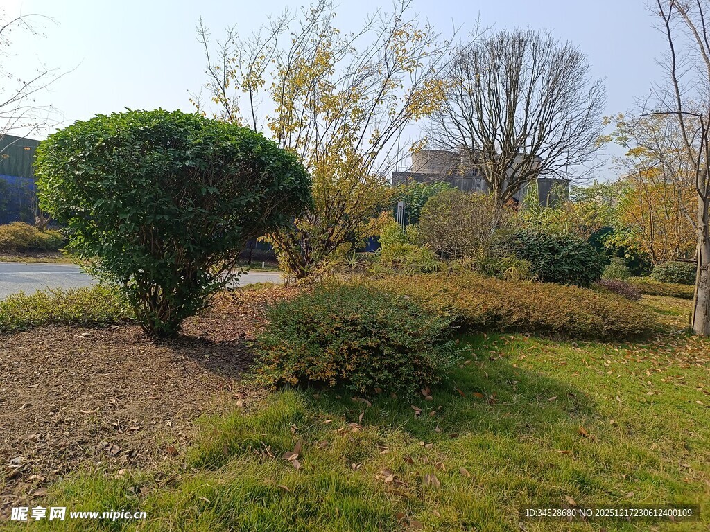 户外绿意盎然的园林景观