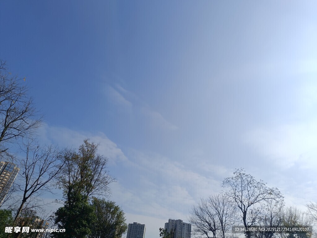 晴朗天空下的树木与建筑