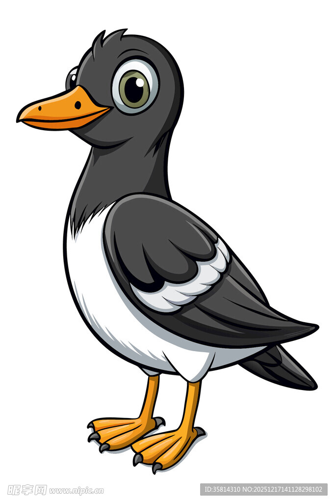 卡通黑白小鸟形象展示