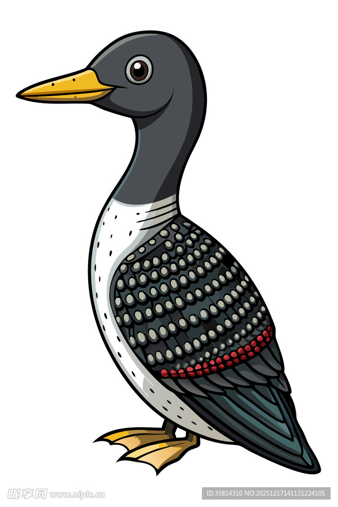 黑白潜鸟插画形象