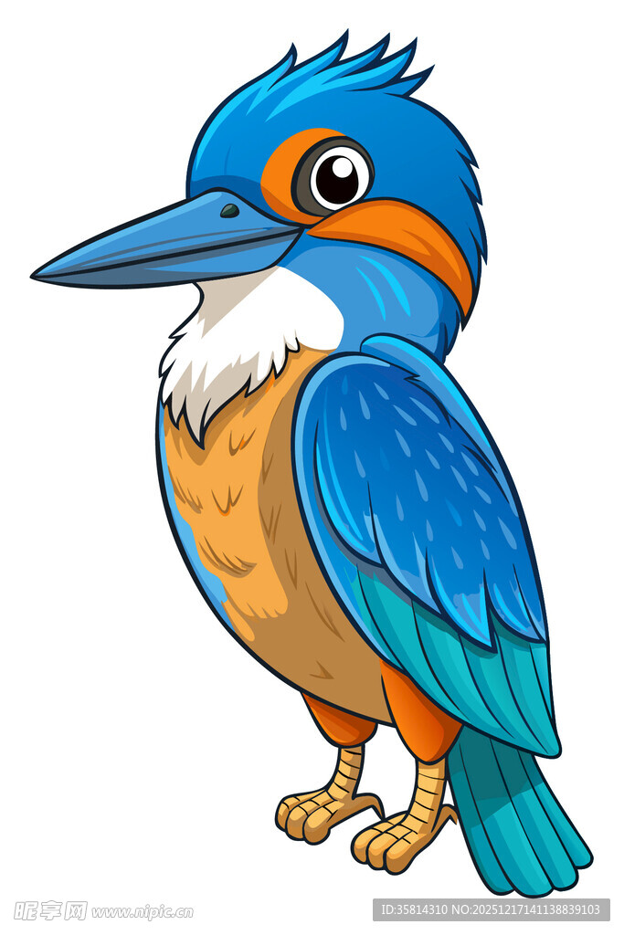 可爱蓝羽翠鸟插画
