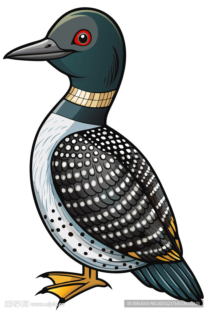黑白斑点潜鸟插画形象