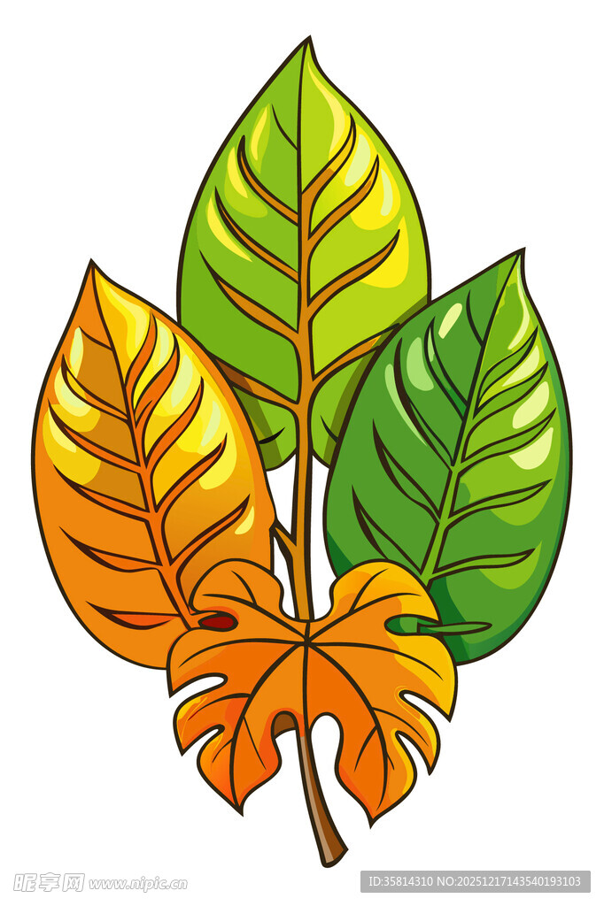 多彩热带树叶插画