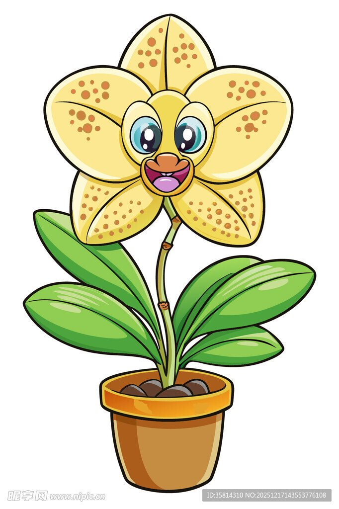 可爱卡通兰花盆栽