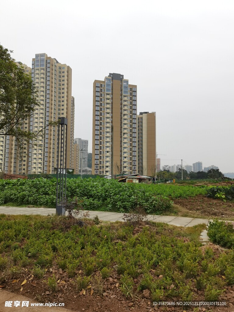 城市住宅区旁的绿地景观