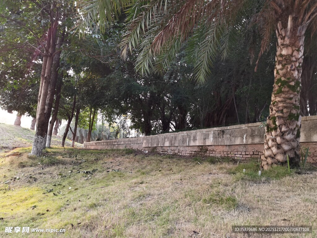 林间草地旁的石墙景观