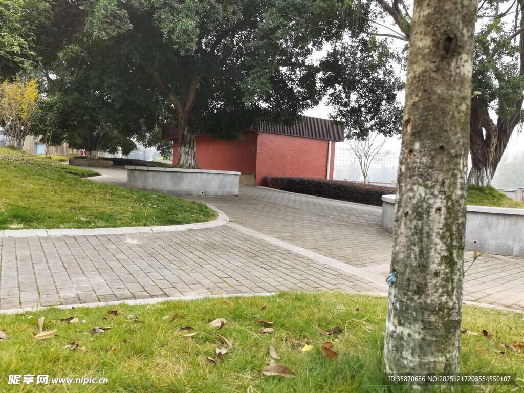 公园小径旁的树木与建筑