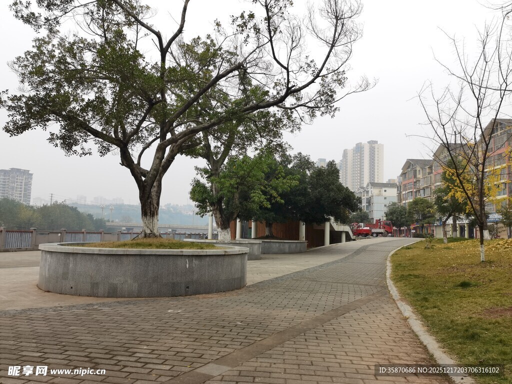 城市公园中的宁静小道