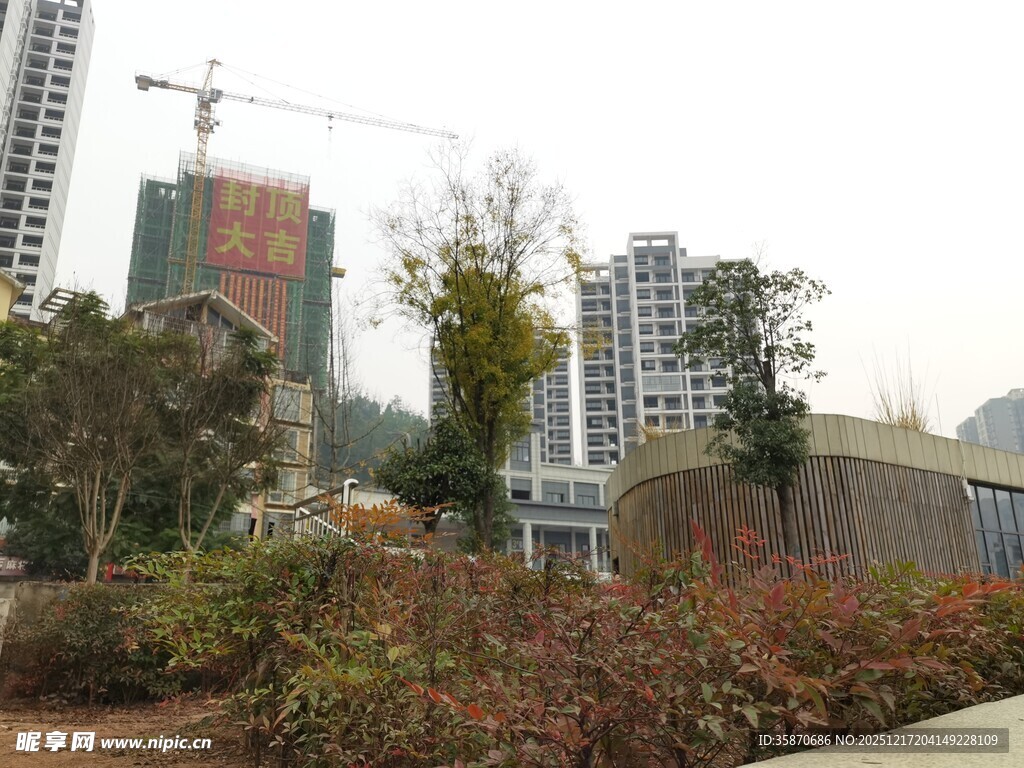 城市景观中的绿植与建筑