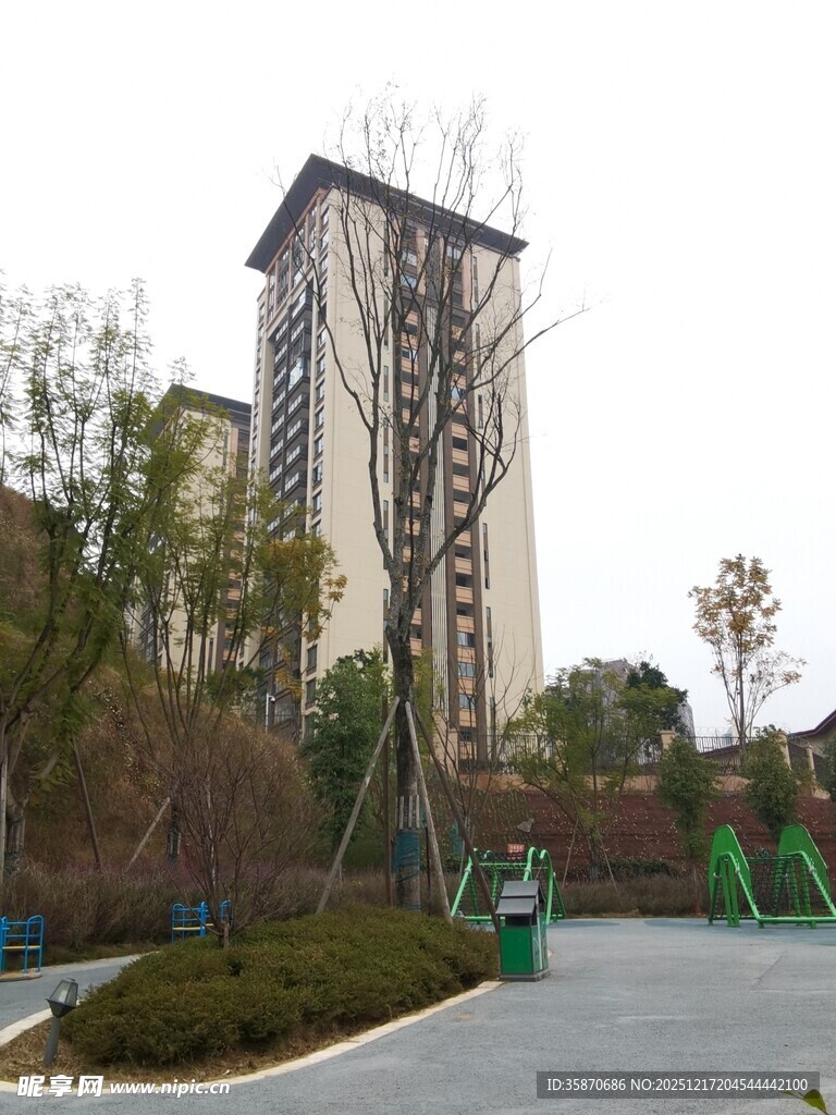 高层住宅旁的绿化景观