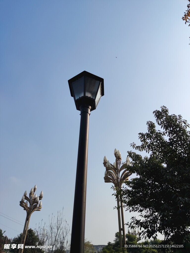 户外路灯与树木景观