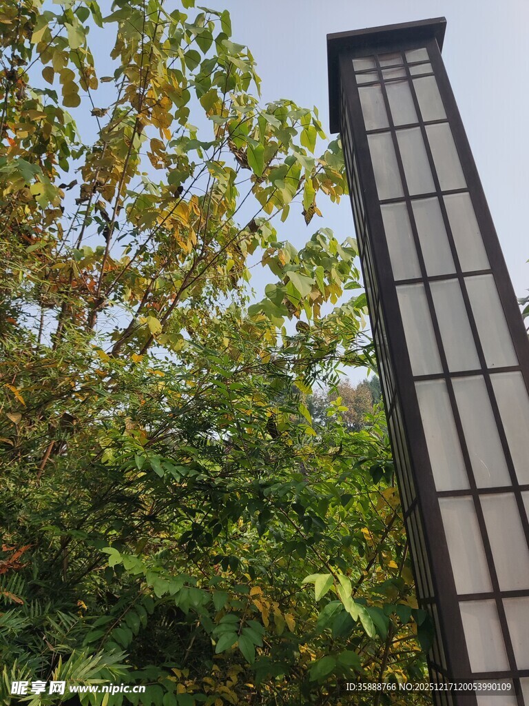 户外中式灯柱与葱郁树木