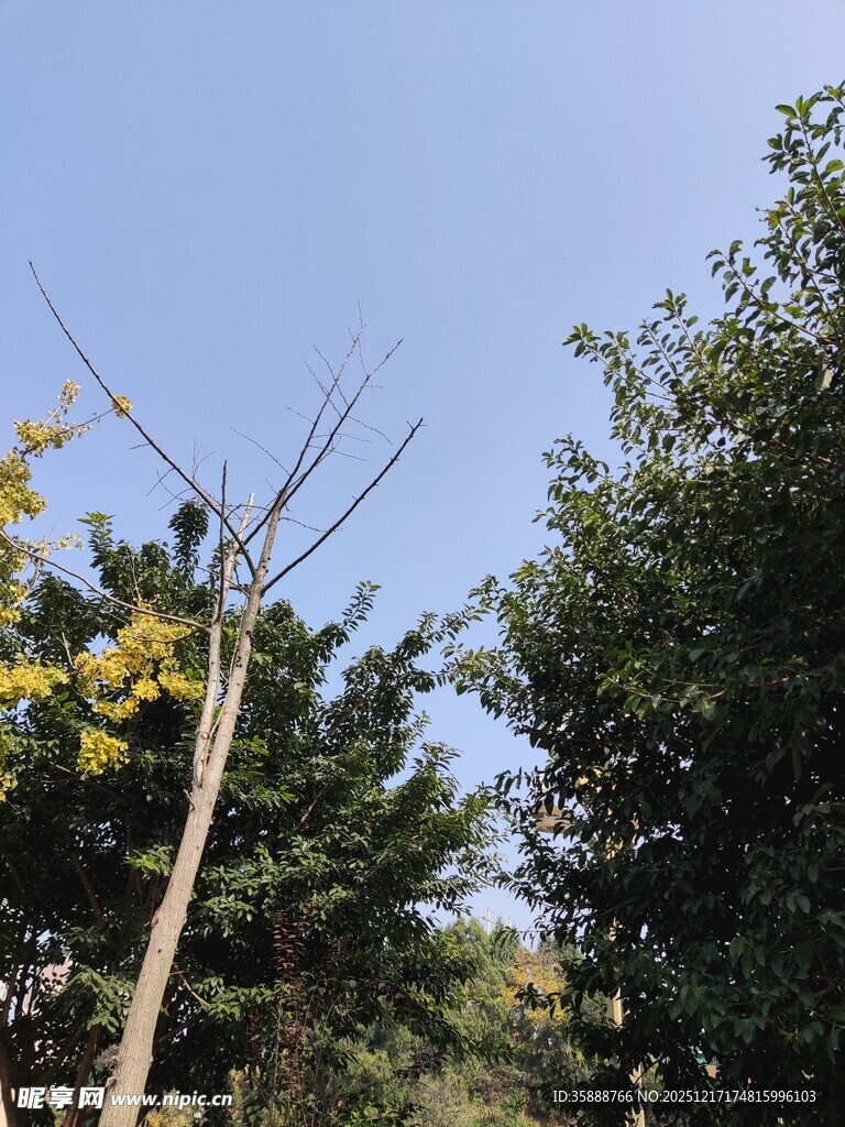 户外的老式电视天线