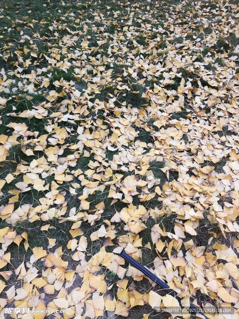 地面散落的多彩碎石