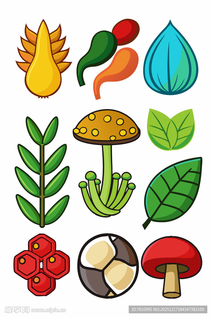 多彩植物与蘑菇插画集合