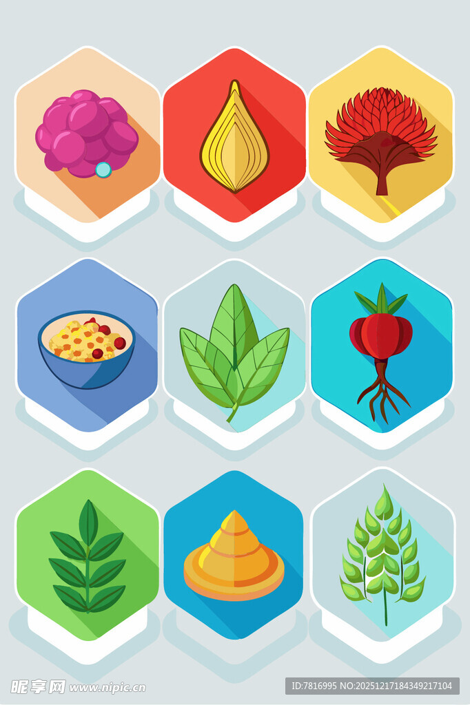 多彩自然与食物图标集合