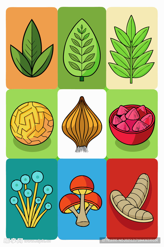 多彩植物图标集