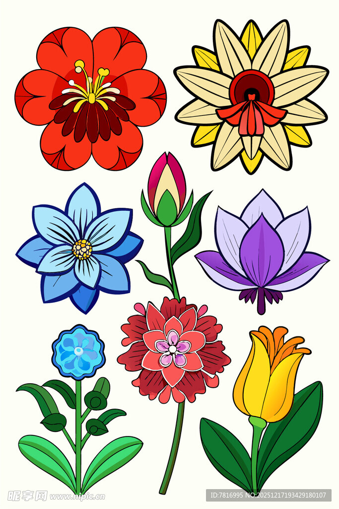 多彩手绘花卉集合