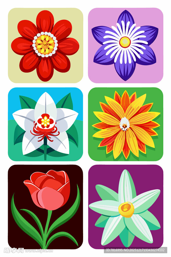 多彩花卉图标集合