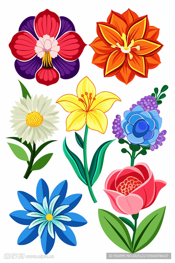 多彩手绘花卉集合