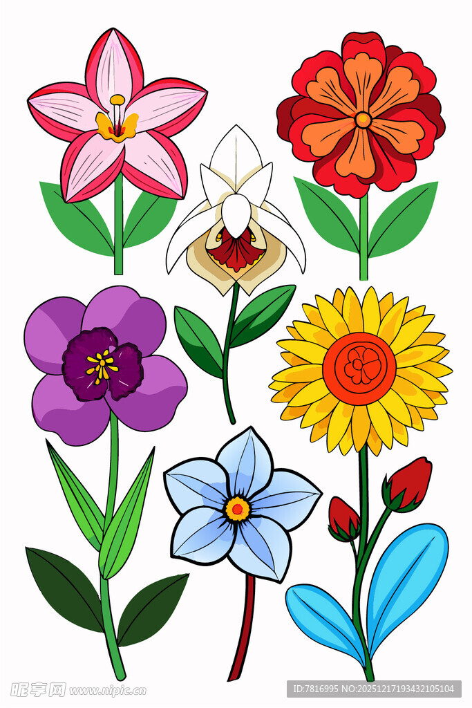 多彩手绘花卉图案集合