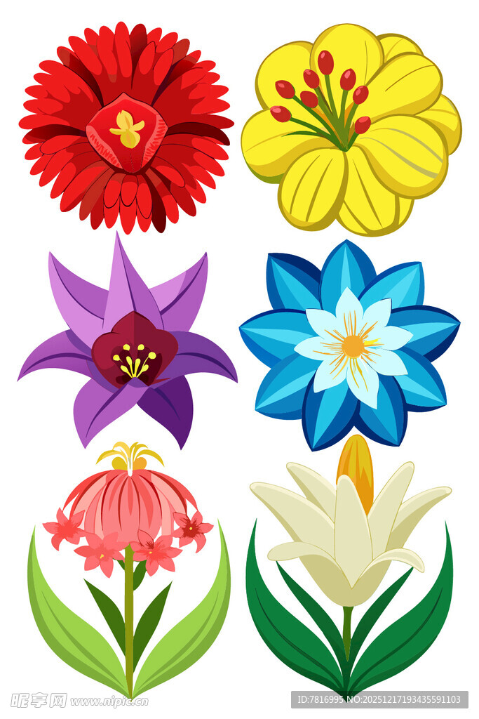 多彩花卉插画集合