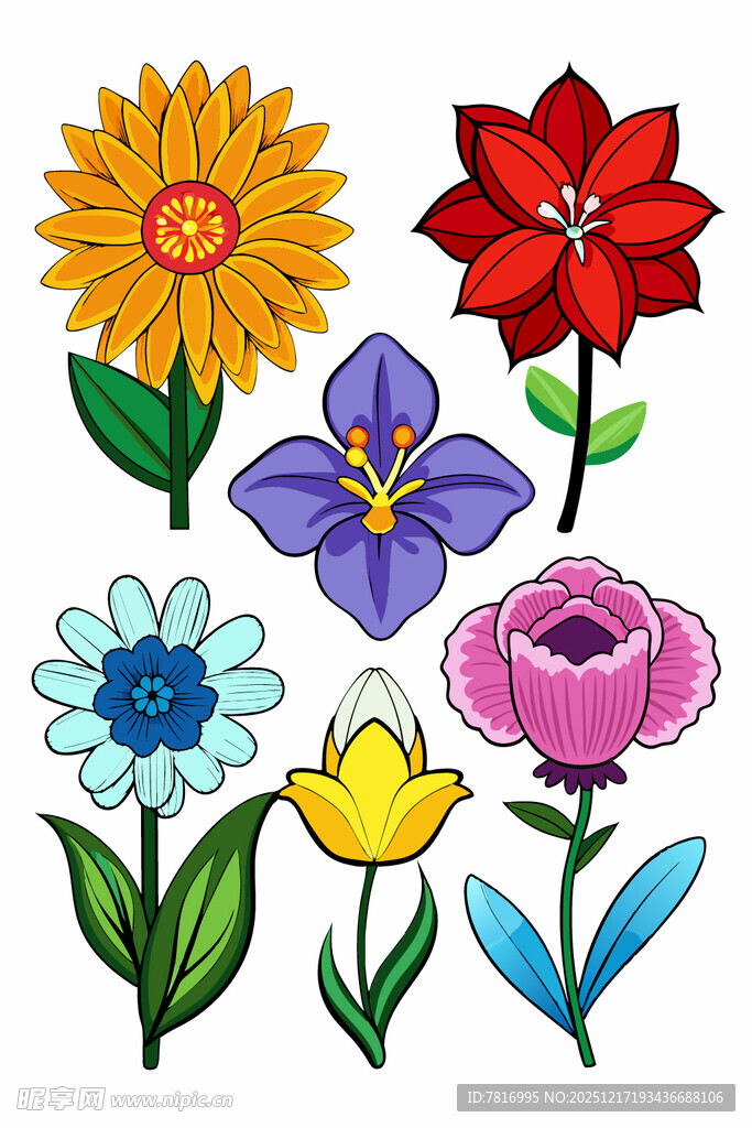 多彩手绘花卉图案集合