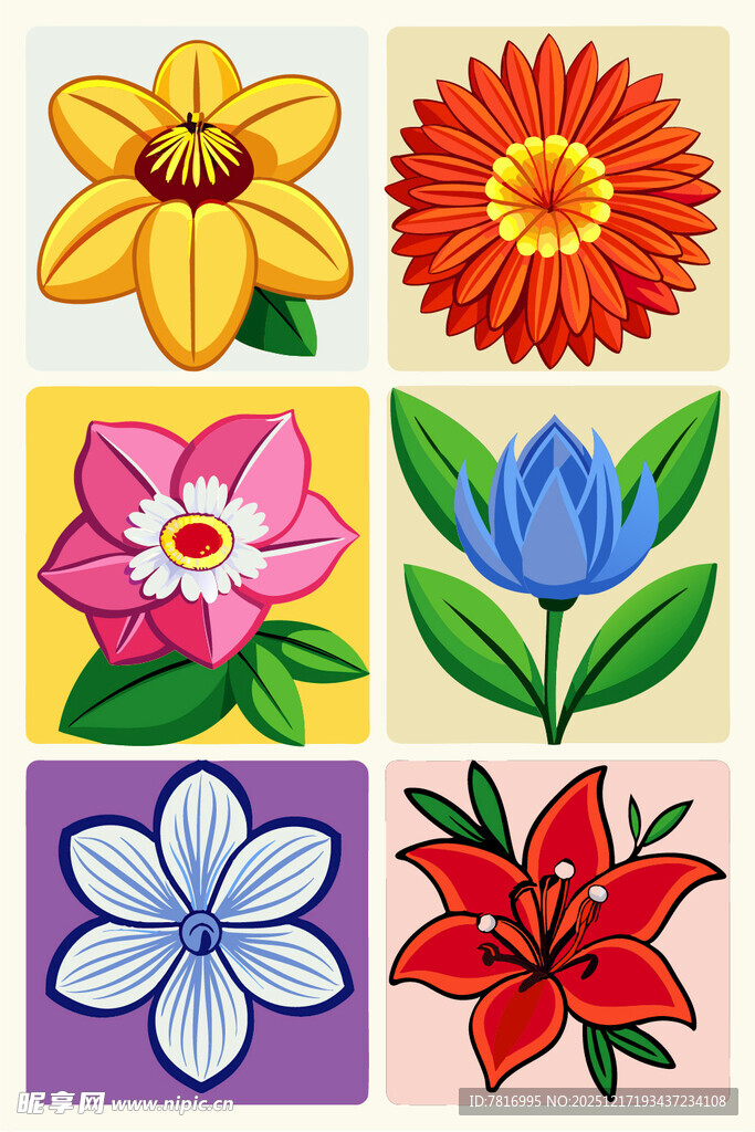 多彩花卉图案集合