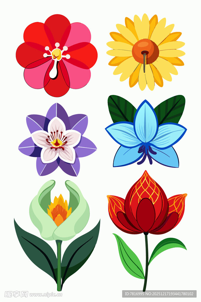 多彩手绘花卉图案集合