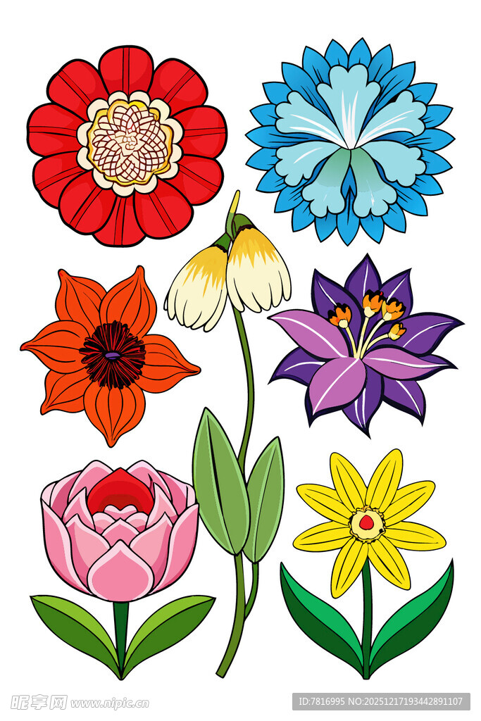 多彩手绘花卉图案集合