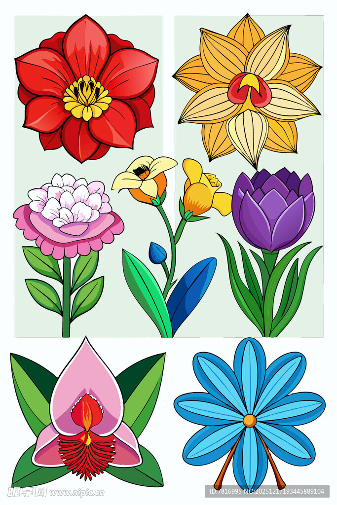 多彩手绘花卉图案集合
