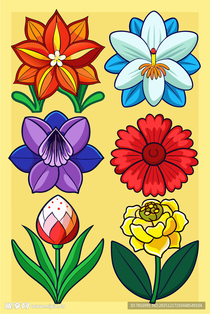 多彩花卉插画图案
