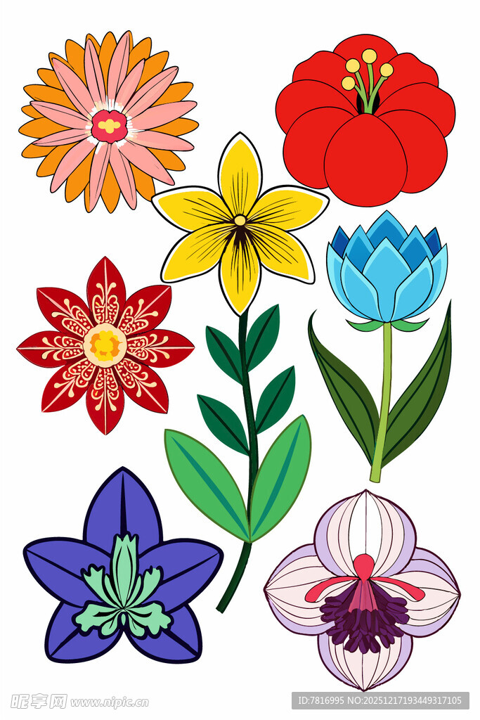 多彩手绘花卉图案集合