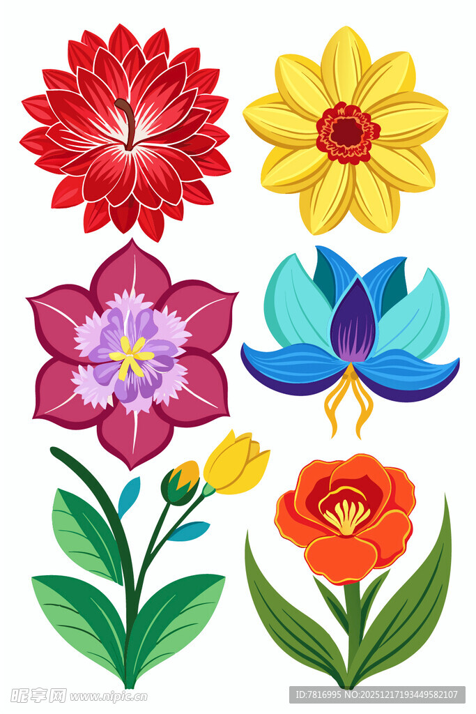 多彩刺绣花卉图案