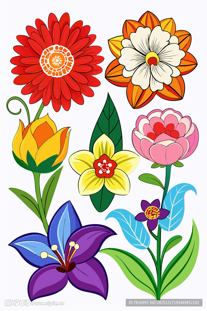 多彩花卉插画