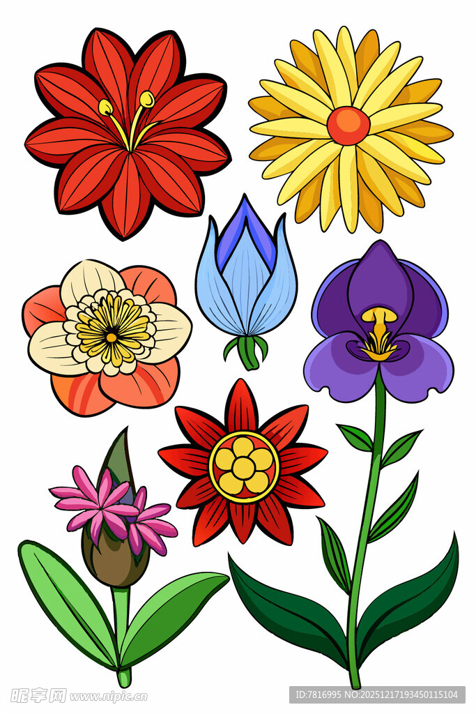 多彩手绘花卉图案