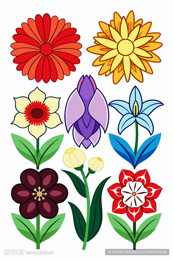 多彩手绘花卉图案集合